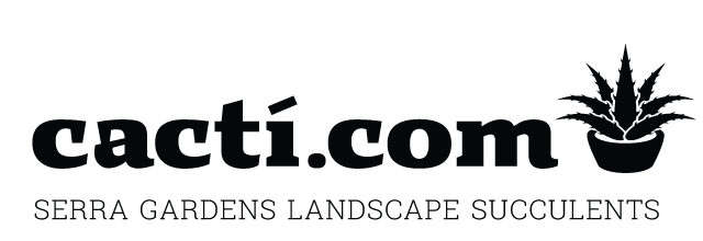 A Huge Assortment of Succulents For Sale Online - Cacti.com
